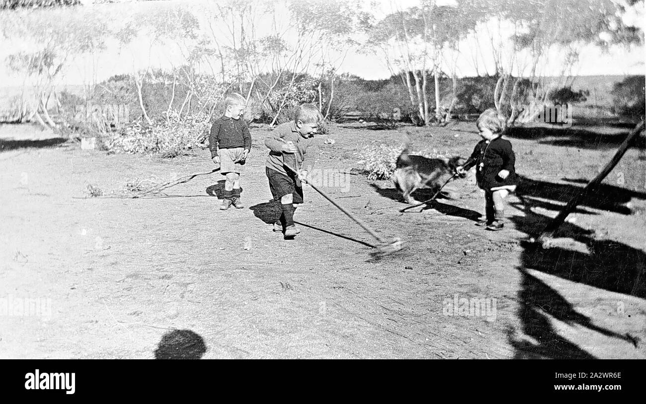 Negative - Prooinga, Victoria, ca. 1935, drei Jungen und einen Hund zu spielen. Man hat einen Besen, während einer der anderen rittlings auf einem Ast sitzt Stockfoto