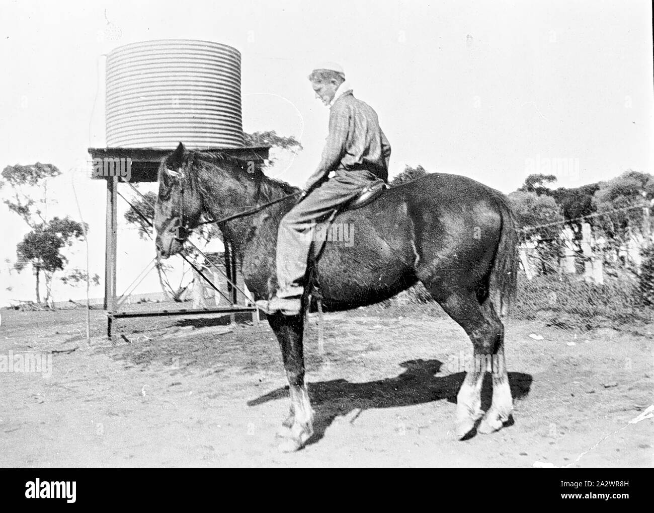 Negative - Chinkapook, Victoria, 1935, ein Arbeiter auf dem Ryan Farm Bill, ein liebstes Pferd. Es gibt einen Wassertank im Hintergrund Stockfoto