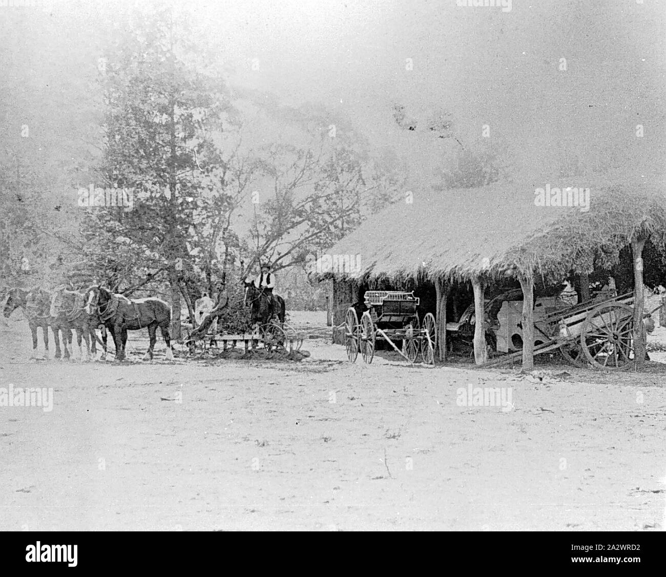 Negative - See, Victoria, ca. 1900, eine Maschinerie Schuppen auf der Farm. Die Halle ist mit Stroh und hat offene Seiten. Es ist ein Pferd Team auf der linken Seite Stockfoto