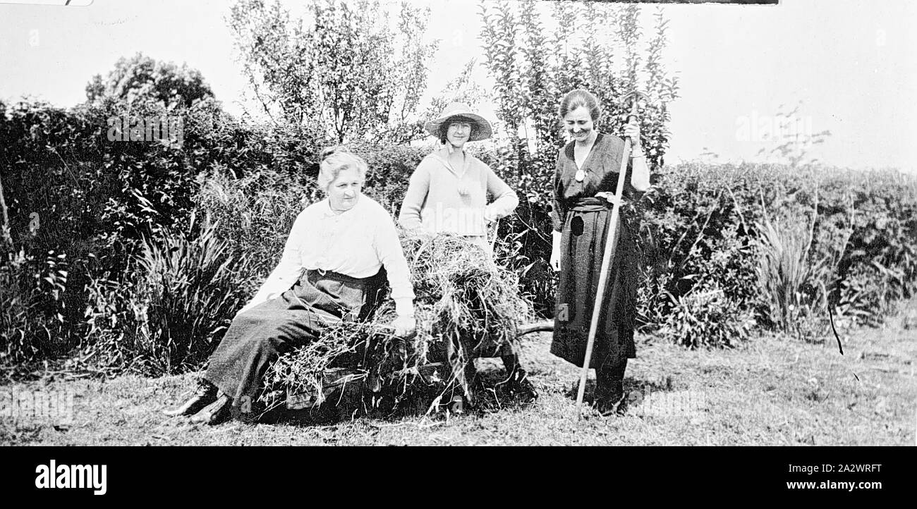 Negative - Euston Bezirk (?), New South Wales (?), ca. 1920, drei Frauen im Garten arbeiten. Hält man ein Rechen, während ein anderer auf einem Rad Karren voller Unkraut sitzt Stockfoto