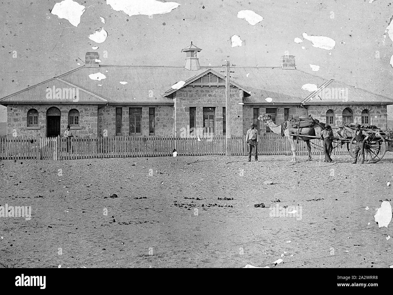 Negativ - vier Männer mit einem Kamel & Warenkorb außerhalb der Telegraph Station, Eucla, Western Australia, 1903, vier Männer und ein Kamel und Warenkorb außerhalb der Eucla Telegraph Station, Western Australia. Dieses Gebäude wird nun durch Sanddünen bedeckt. Das Bild stammt aus dem Jahr 1903. Die Kamele und deren Kameltreiber half Lieferungen im Inland für die Bergbau- und Schafe Branchen führen, unterstützt den Bau der Overland Telegraph Line, der Canning Stock Route, großen Zaun Linien und die Trans-Australia und Zentralen Australischen Stockfoto