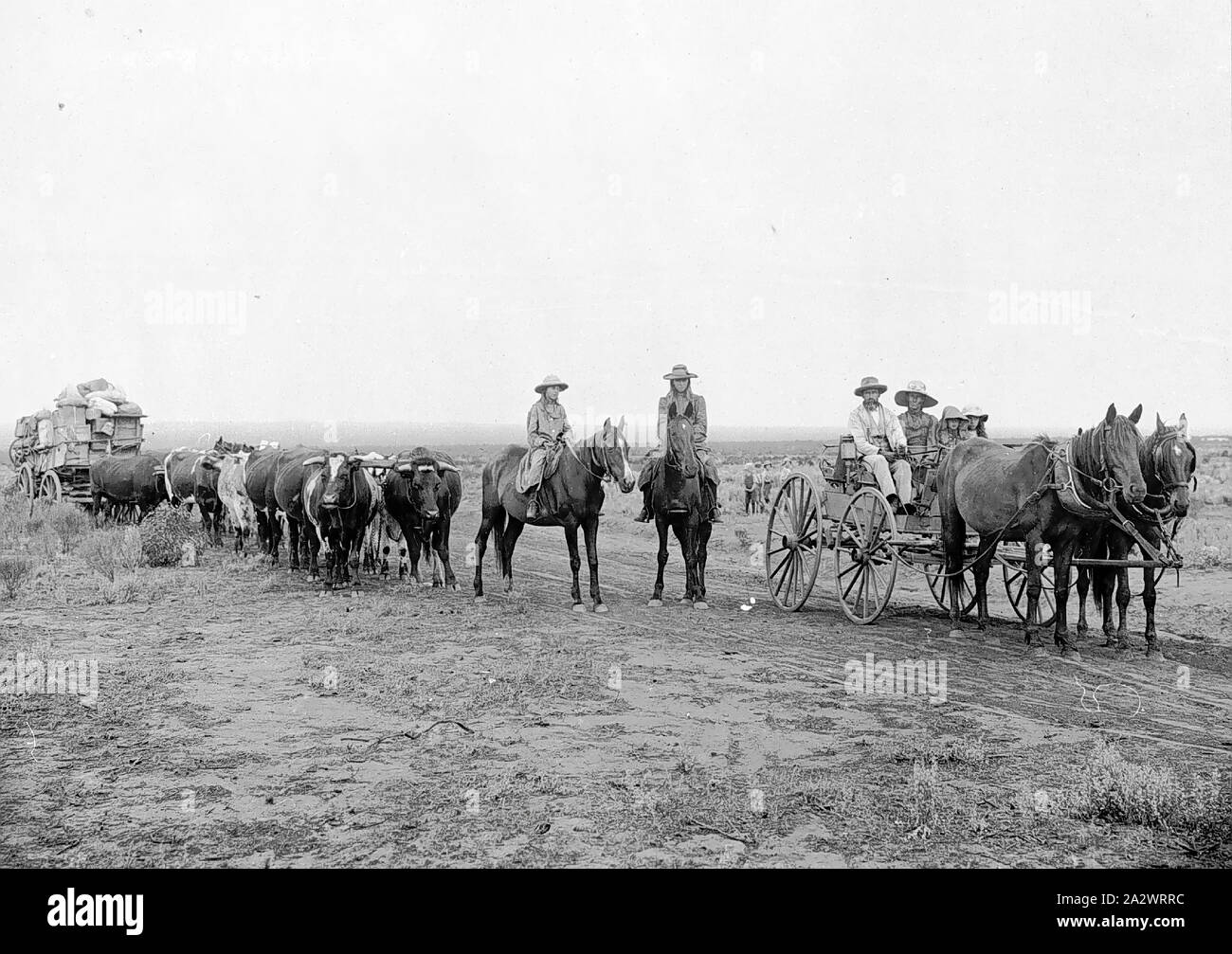 Negative - Kalgoorlie District, Western Australia, 1904, die halford Familie in Kalgoorlie angekommen Nach einer zweijährigen Reise von Australien. Die Familie ist in einem Pferd sitzen-Wagen gezogen, zwei Mädchen folgen auf dem Pferd und eine geladene Dray durch einen Farren Team zog entlang Stockfoto