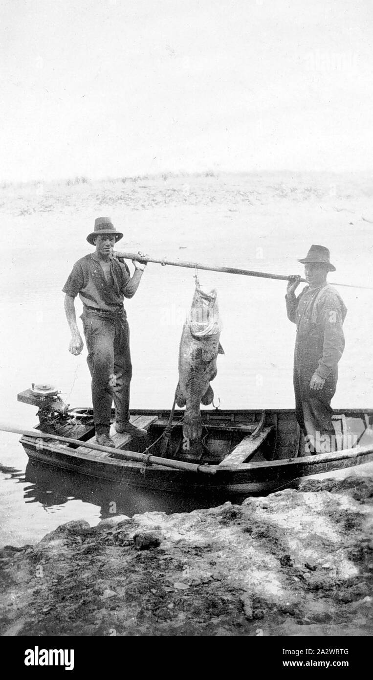 Negative - Swan Hill, Victoria, ca. 1925, zwei Männer in einem Ruderboot. Sie halten zwischen ihnen eine große Murray cod aus der Pole ausgesetzt Stockfoto
