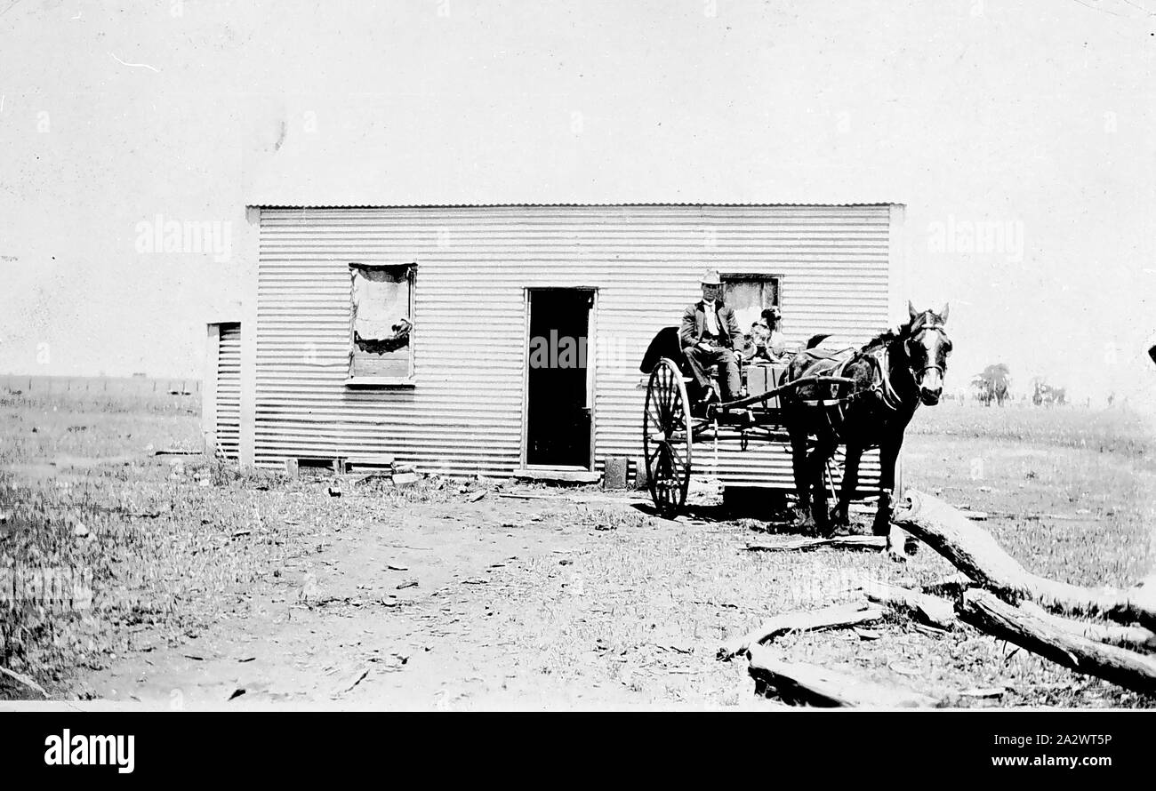 Negative-Grong Grong District, New South Wales, ca. 1925, ein Mann und Hund in einem Buggy außerhalb einer kleinen Wellblech Hütte. Die Fenster sind mit Entlassung abgedeckt Stockfoto