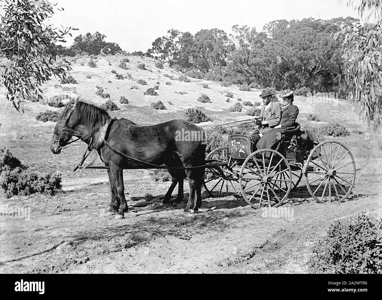 Negative - New South Wales, etwa um 1900, eine gut gekleidete Paar in Pferd und Wagen in Sandhills auf 'Warrakoo" Station. Die Darling River ist sichtbar auf der rechten Seite Stockfoto