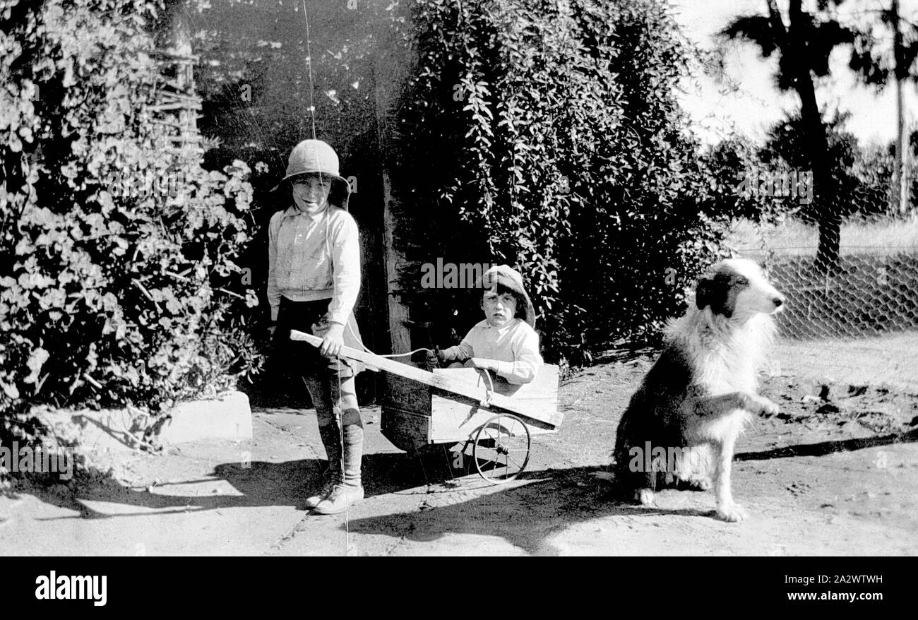 Negative - Merbein Bezirk, Victoria, ca. 1935, zwei Kinder, in einem Hinterhof. Man ist in einem Billy Warenkorb durch die anderen gezeichnet sitzt. Ein Hund sitzt auf der rechten Seite mit der Pfote angehoben Stockfoto