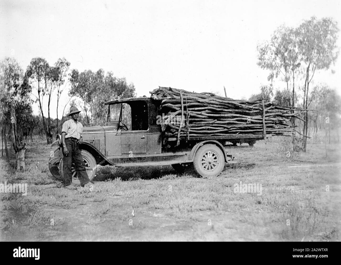 Negative - Mallee (?), Victoria, 1931, ein Mann mit einem Lkw mit Box Setzlinge in einem Busch Einstellung geladen Stockfoto