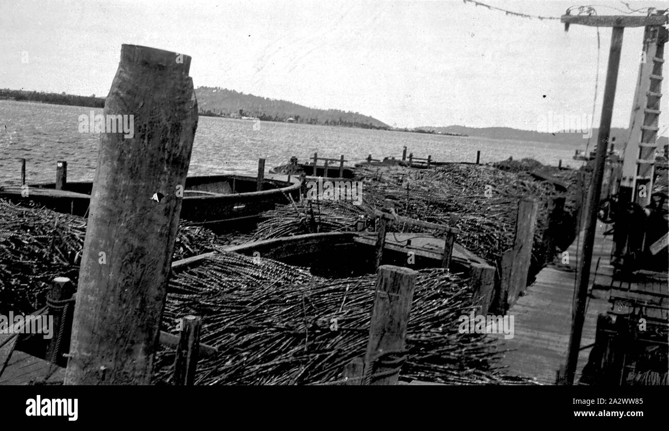 Negative - Palmer Island, New South Wales, 1934, Lastkähne bis zu einem Pier am Clarence River gefüttert Stockfoto