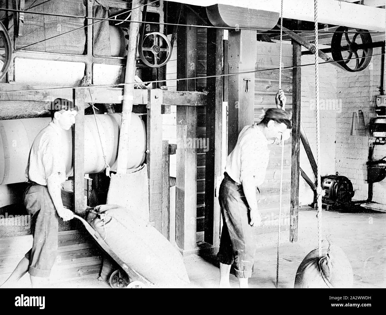 Negative - Melbourne, Victoria, ca. 1890, zwei Brauerei Arbeitnehmer, die Taschen von Korn. Das eine ist das Drehen einen Sack Weizen, während die andere über einen Beutel mit einem Hebezeug Arbeiter in einer Mälzerei zu heben Stockfoto