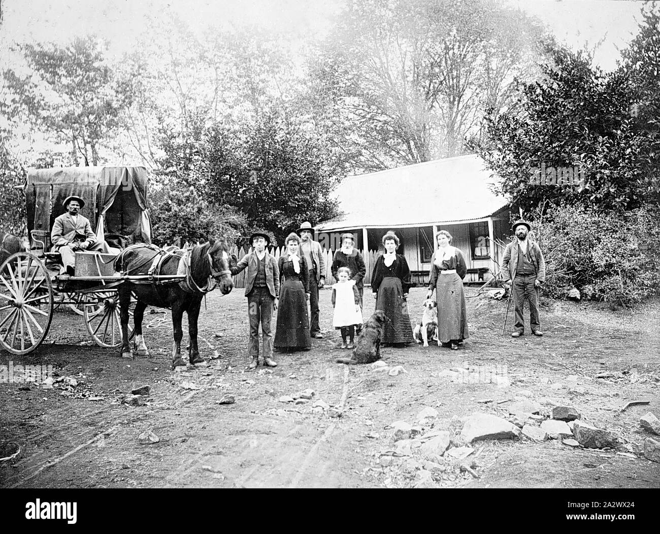 Negative - Eldorado Bezirk, Victoria, ca. 1890, eine große Familie Gruppe vor einem kleinen weatherboard Haus. Es erscheint vier Generationen auf dem Foto zu sein. Einer der Männer sitzt auf einem Buggy mit einem Pferd genutzt. Ein weiterer Planwagen im Hintergrund Stockfoto
