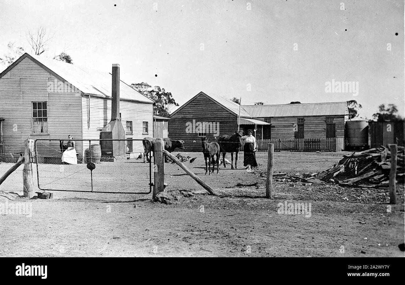 Negative - Laanecoorie (?), Victoria, ca. 1915, landwirtschaftlichen Gebäuden. Eine Frau sitzt, die von einem Gebäude auf der linken Seite, während eine andere, in der Mitte des Fotos, hält ein Pferd Stockfoto