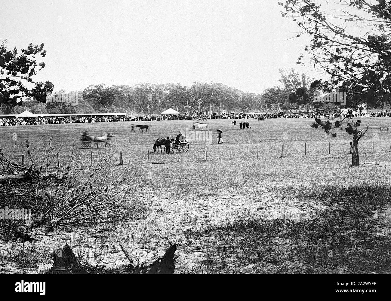 Negative - Jeparit, Victoria, 1908, die SHOWGROUNDS und der Jeparit Landwirtschaft zeigen Stockfoto