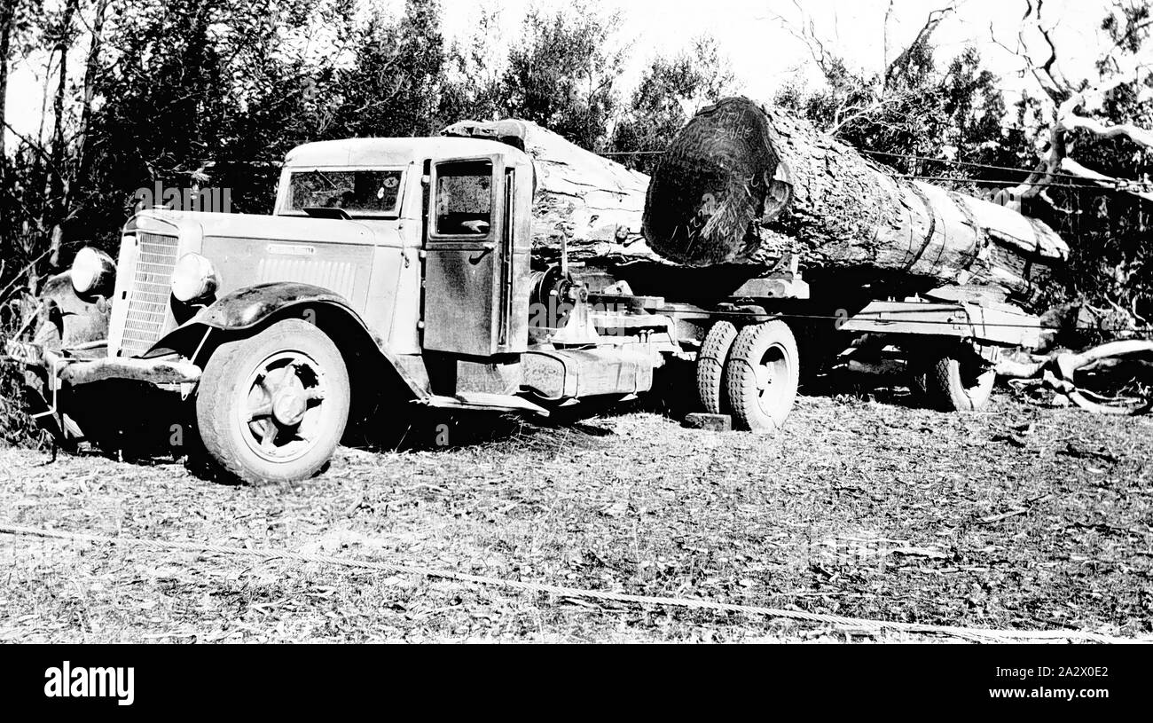 Negative - chetwynd Bezirk, Victoria, 1937, Red gum Protokolle Lastwagen zu Rowe's Sägewerk an Edenhope. International C Serie Fahrzeug Stockfoto