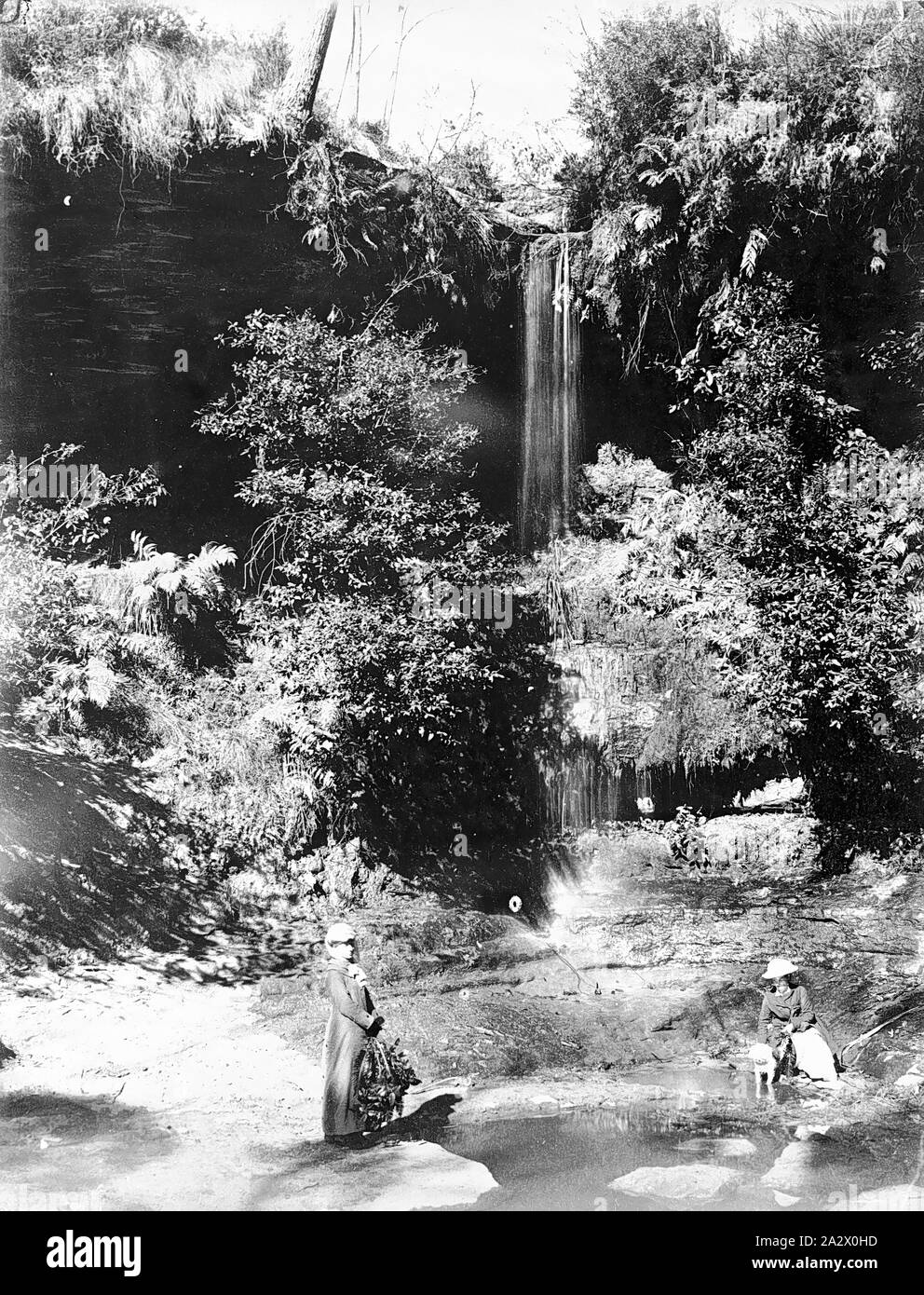 Negative - Mount Victoria, New South Wales, etwa 1880, zwei Frauen und ihre Hunde von Fairy Dell Wasserfall Stockfoto