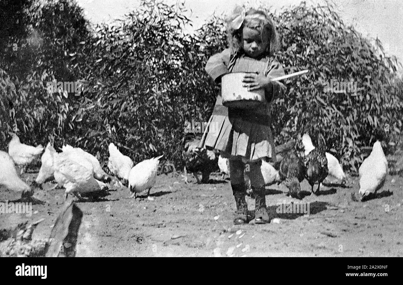 Negative - Mittyack, Victoria, ca. 1918, ein kleines Mädchen Fütterung Vögel von einem Emaille Topf Stockfoto