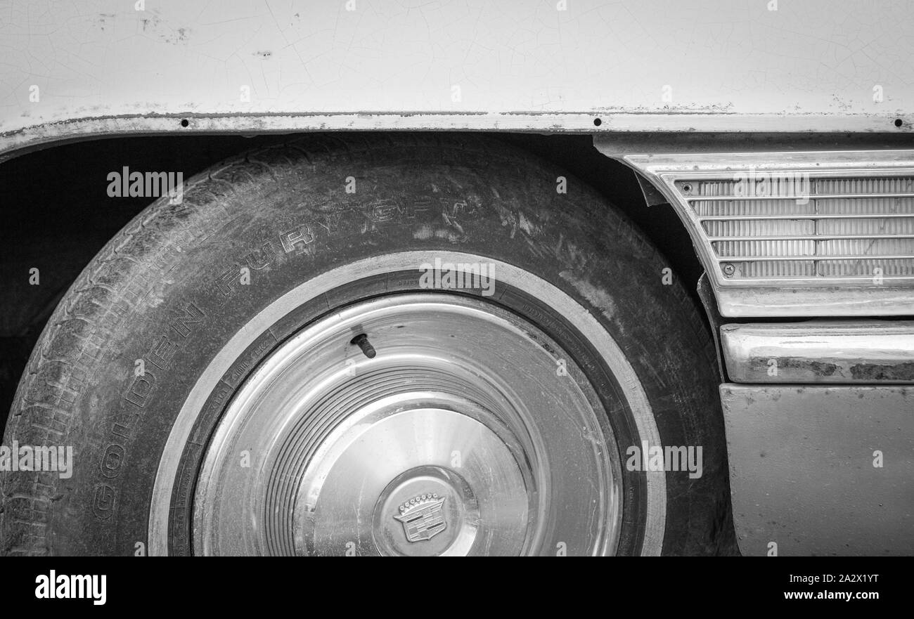 Gelbe Daisie auf alten aufgeschlüsselt Truck in Schwarz und Weiß in Amsterdam Die Niederlande Stockfoto