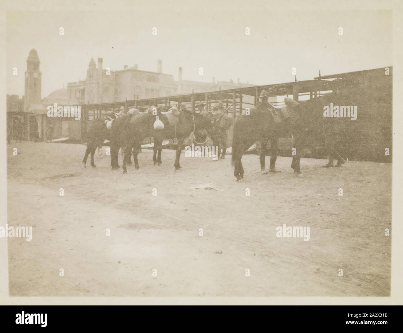 Fotografie - "die Pferde an Bord', Ägypten, Kapitän Edward Albert McKenna, der Erste Weltkrieg, 4 Feb 1915, einer der 108 Bilder in einem Album vom Ersten Weltkrieg wahrscheinlich durch Kapitän Edward Albert McKenna genommen worden zu sein. Das Album enthält Fotos der 7 Bataillon in Ägypten. Bild von Pferden auf den Zug verladen werden, um sie zu Ismalia zu nehmen. Nach dem Krieg Tagebücher, die 7 Bataillon erhielt Aufträge zu Ismalia am 2. Februar 1915 zu verschieben und Nach der Inschrift dieses Bild wurde Stockfoto