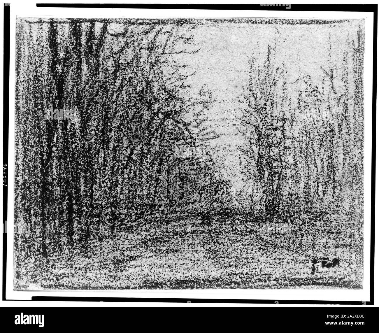 Straße mit Bäumen/J.F.M Stockfoto