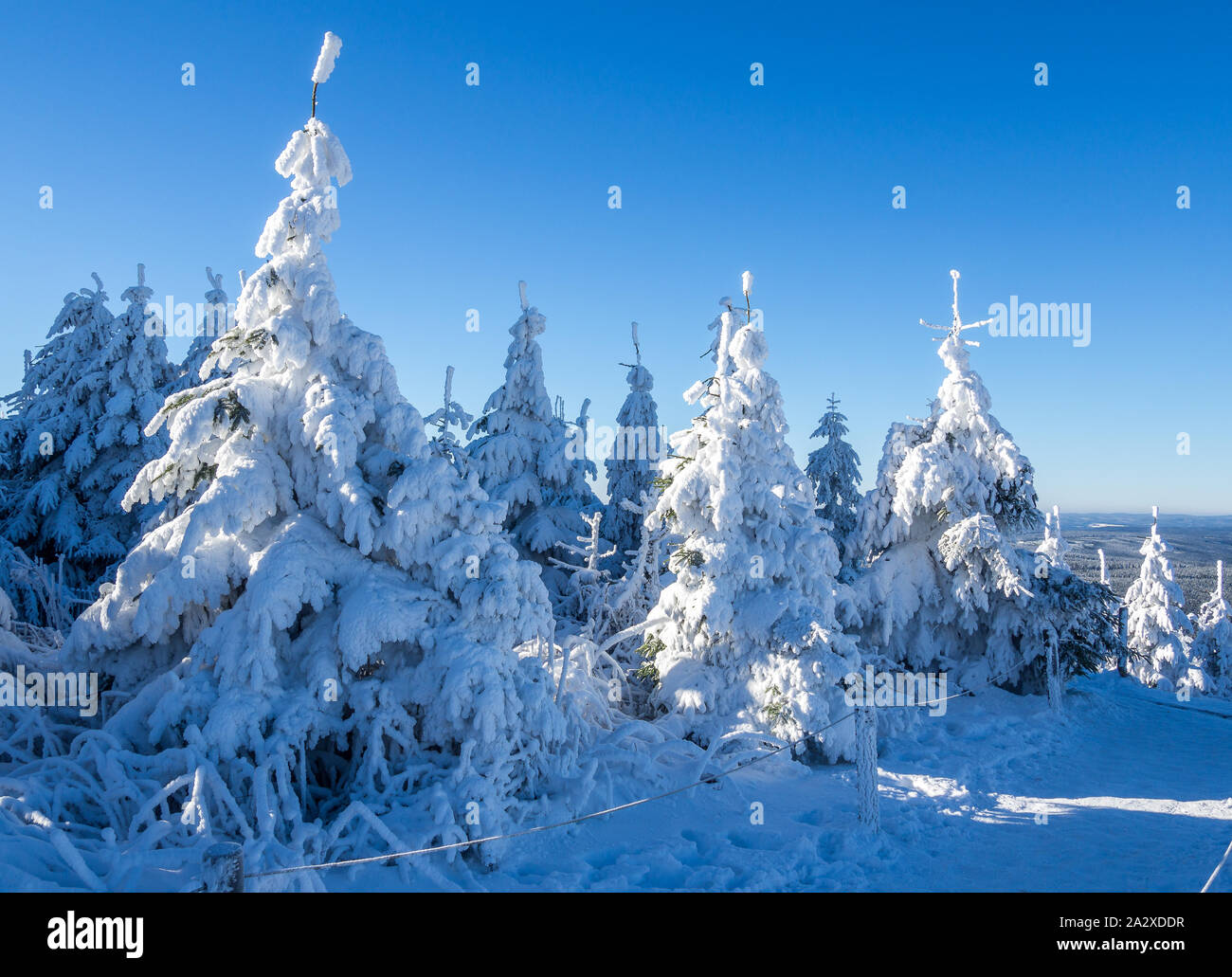 Winter Wunderland Deutschland Stockfoto
