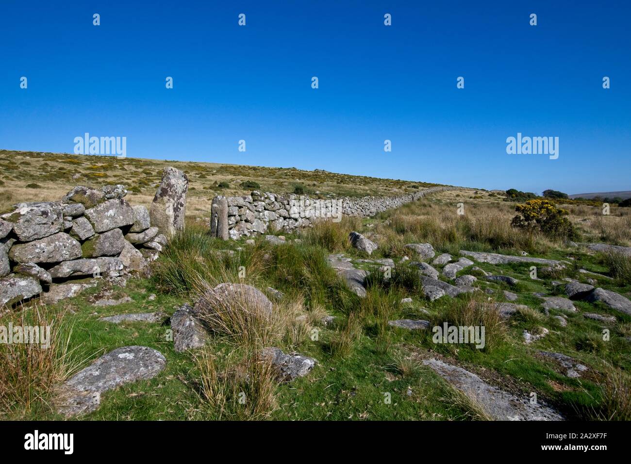 Steinmauer, Dartmoor National Forest Stockfoto