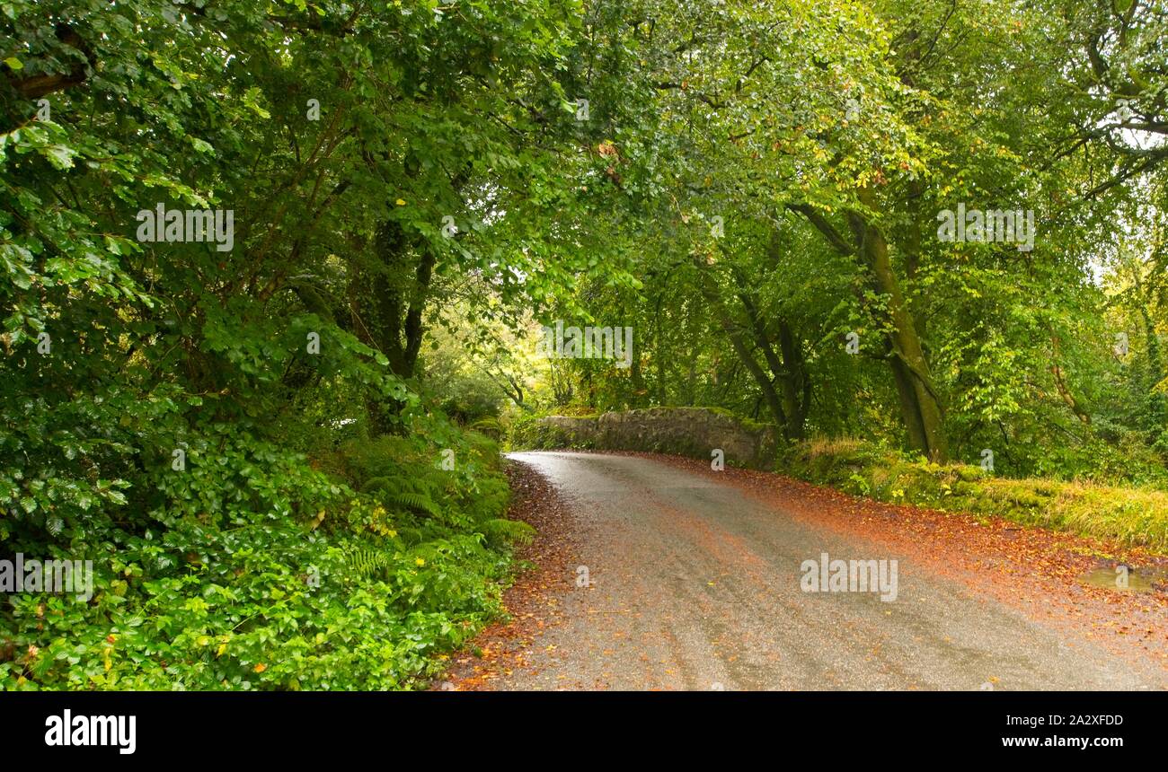 Englisch Bridge Stockfoto