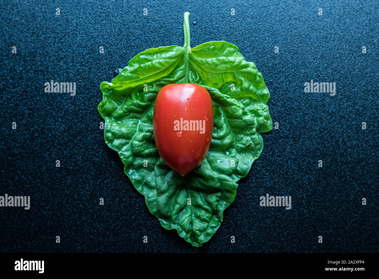 Pflaume tomatoe auf großen Basil leaf. Ansicht von oben Stockfoto