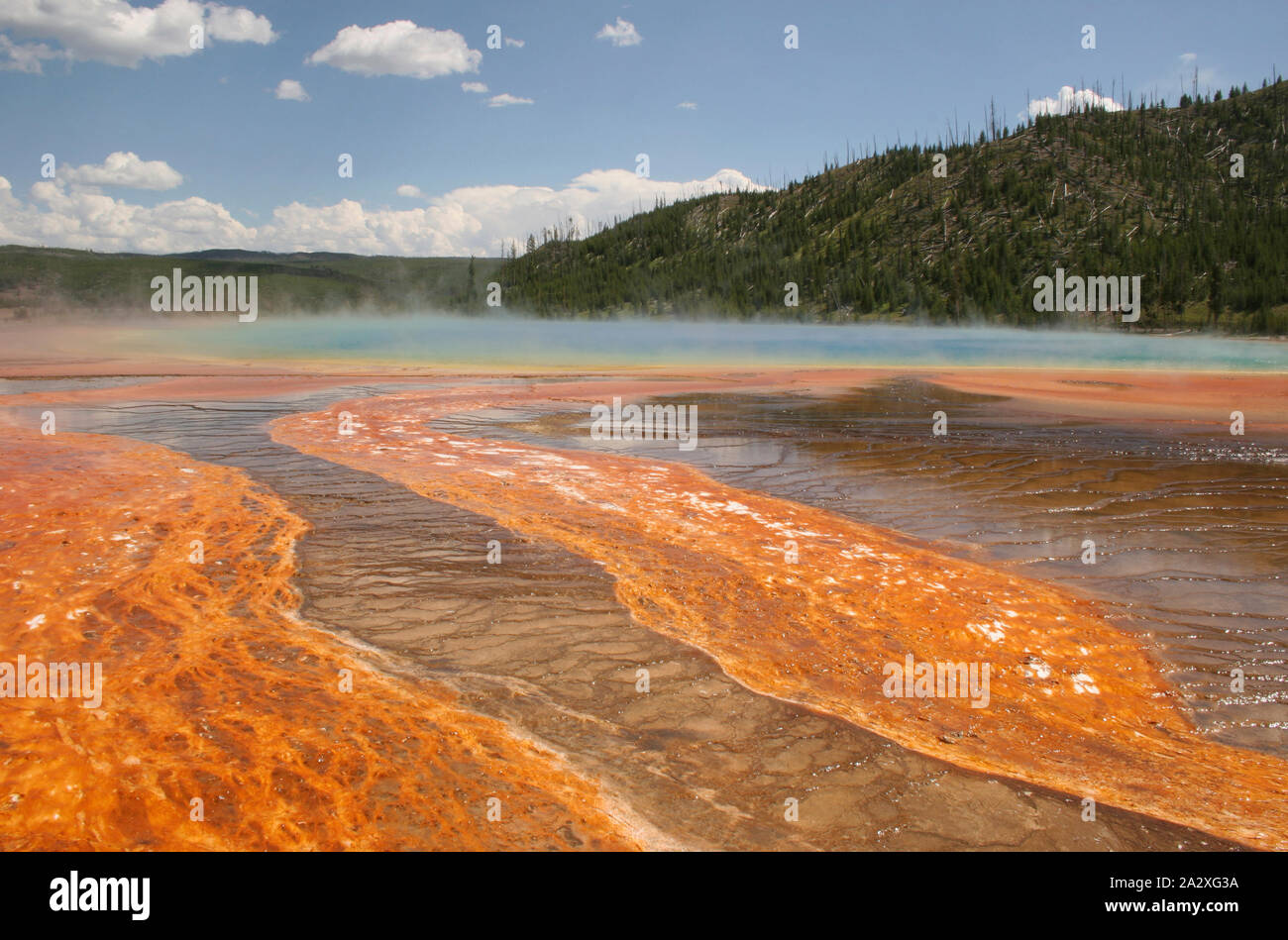 Die zerbrechlichen Kruste angrenzenden Grand Prismatic Spring Geothermie in Yellowstone National Park USA Stockfoto