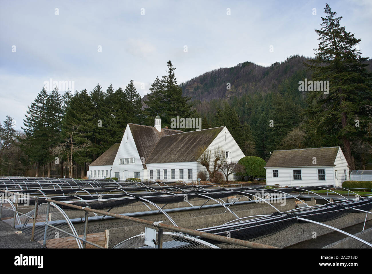 Cascade Locks, ODER - Mar 28, 2019: Die bonneville Fischzuchtanstalt. 1909 gebaut, es ist Oregon Abteilung der Fische und Wildtiere größte Brutplatz. Stockfoto