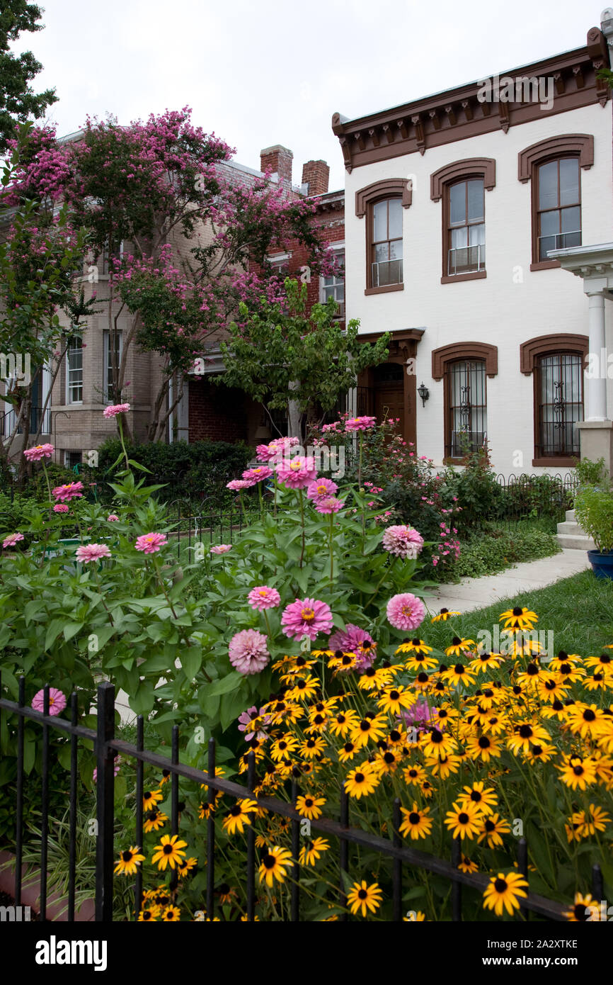 Reihenhäuser, East Capitol St., Washington, D.C Stockfoto