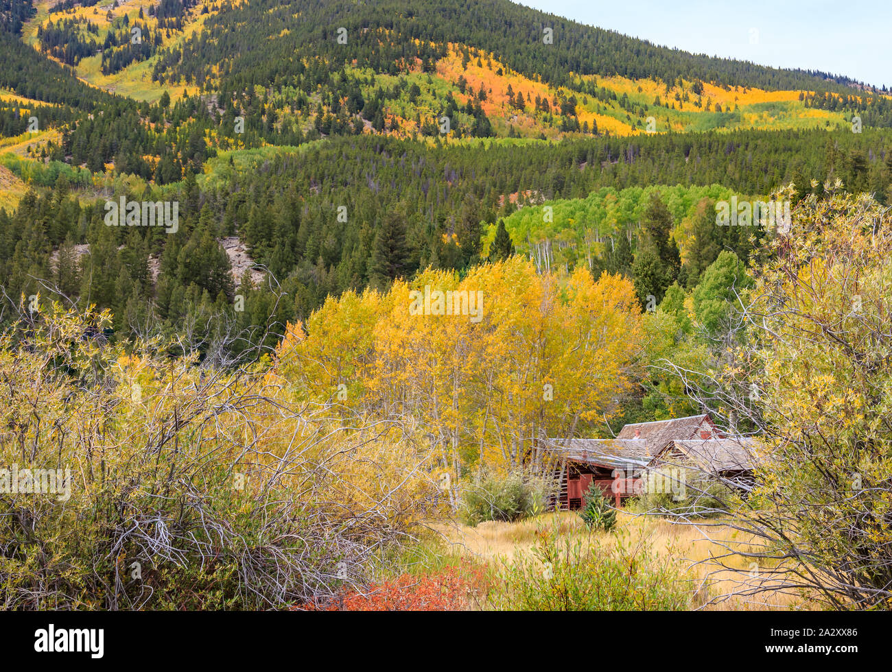 Colorado am Straßenrand in der Nähe von Twin Lakes im Herbst Farbe Stockfoto
