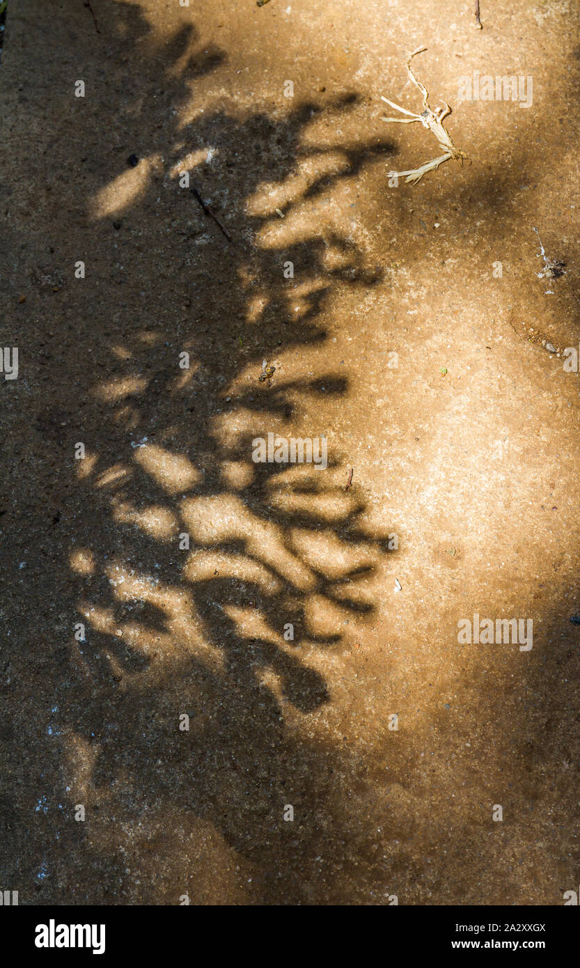Seltsame Schatten im Bild für den Hintergrund verwenden mit Kopie Raum Stockfoto