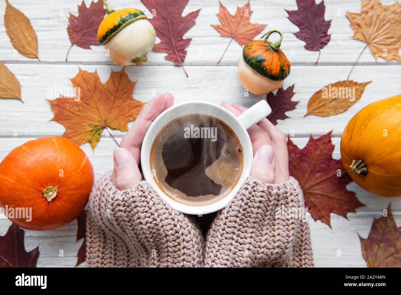 Hand mit warmen Kaffee und Kürbisse und bunte Blätter Ansicht von oben. Stilvolle Herbst flach. Hallo fallen. Wohlig warmes Bild Stockfoto