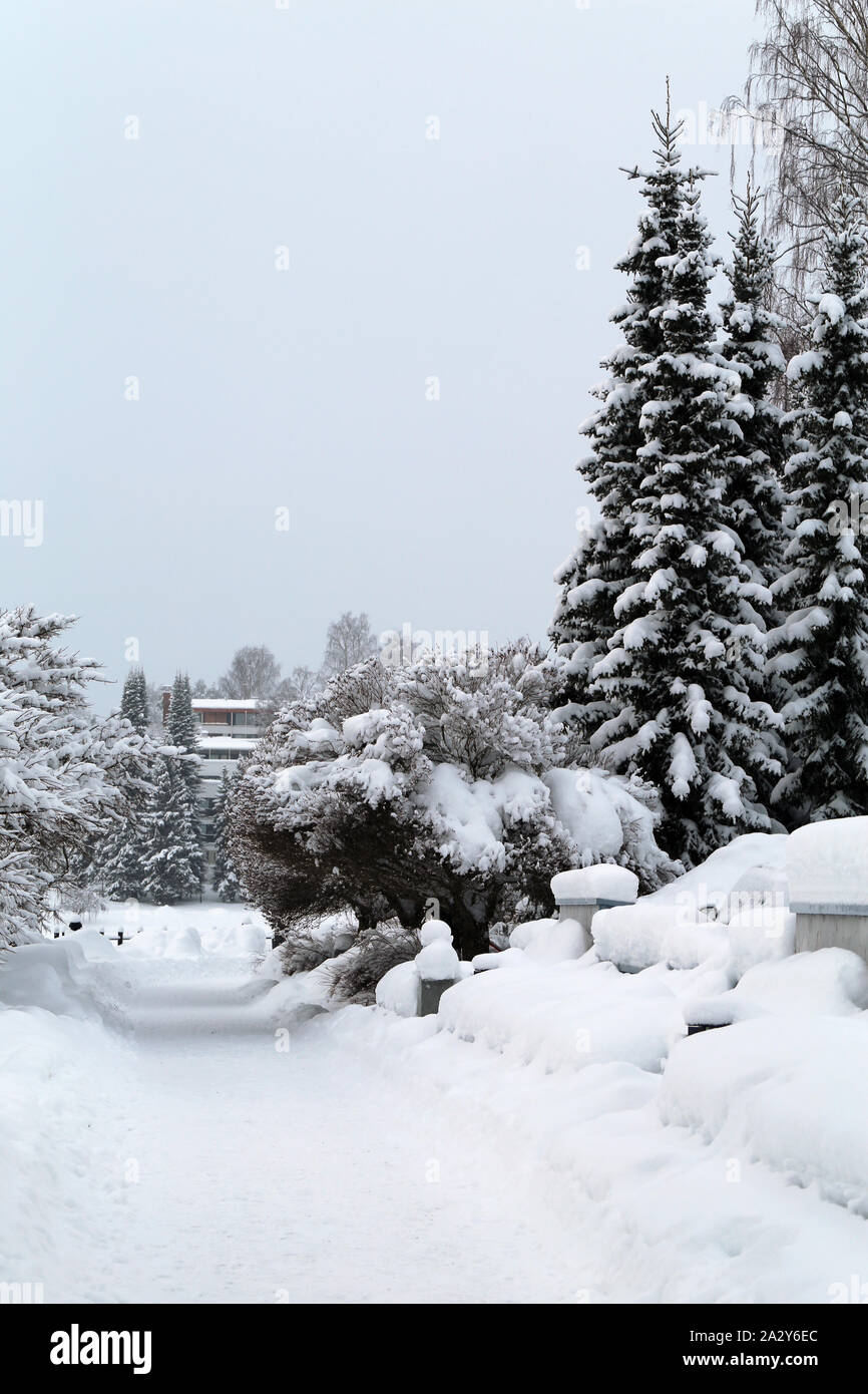 Schöne real life winter wonderland Szene fotografiert während ein Wintertag in Kuopio, Finnland. Es gibt jede Menge Schnee auf dem Boden. Stockfoto