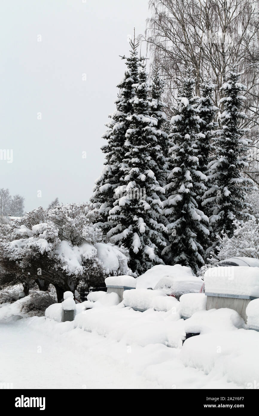 Schöne real life winter wonderland Szene fotografiert während ein Wintertag in Kuopio, Finnland. Es gibt jede Menge Schnee auf dem Boden. Stockfoto