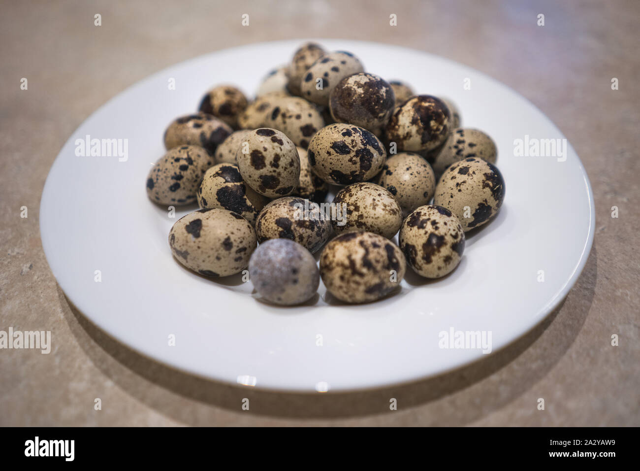 Eine Platte voller quil Eier in der Schale. Gesunde Ernährung - Wachteleier. Stockfoto