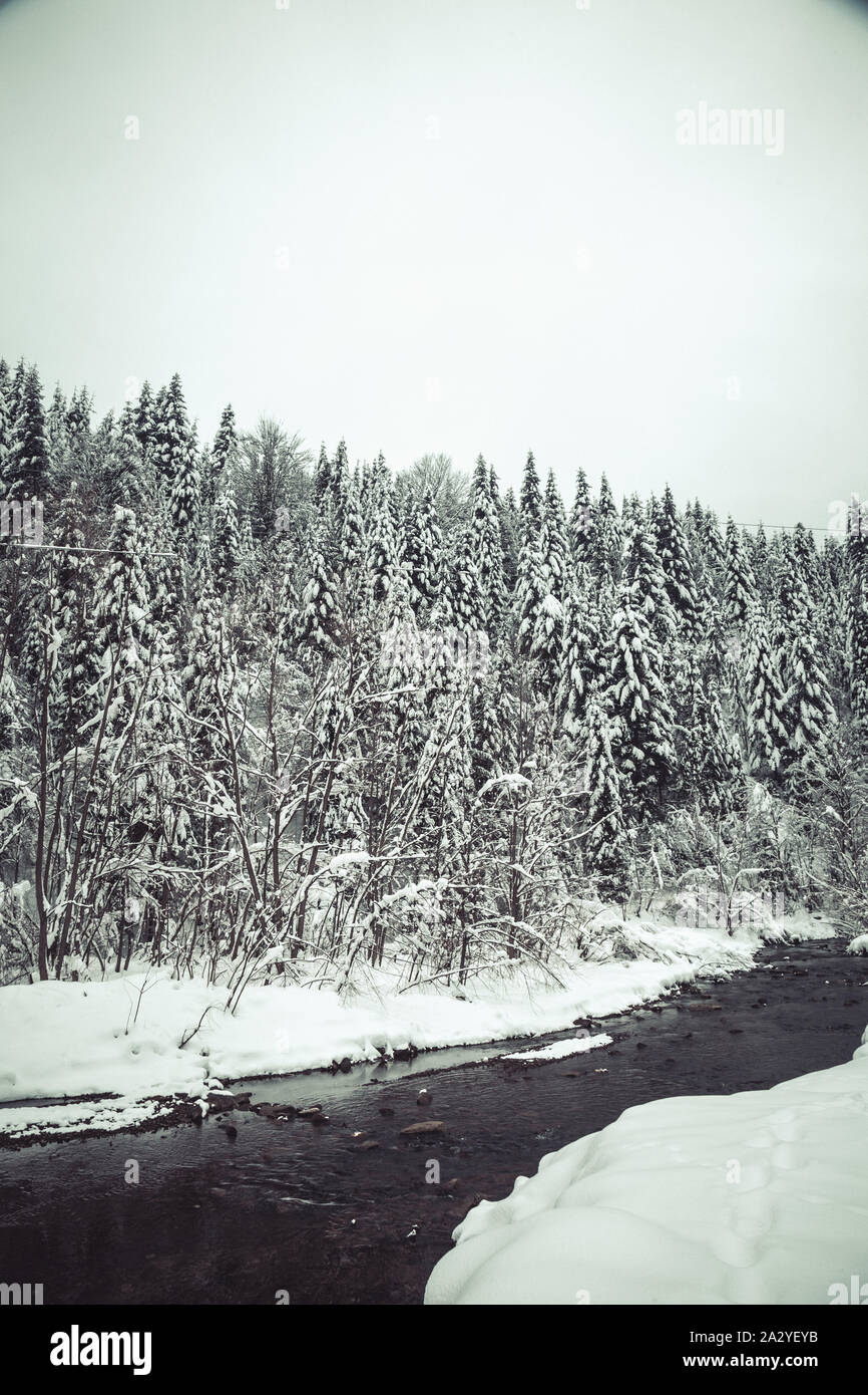 Weihnachten Hintergrund mit verschneiten Tannen. Schönen winter Berglandschaft. Stockfoto