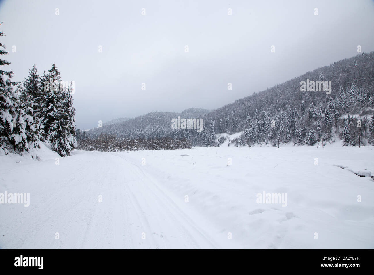 Weihnachten Hintergrund mit verschneiten Tannen. Schönen winter Berglandschaft. Stockfoto