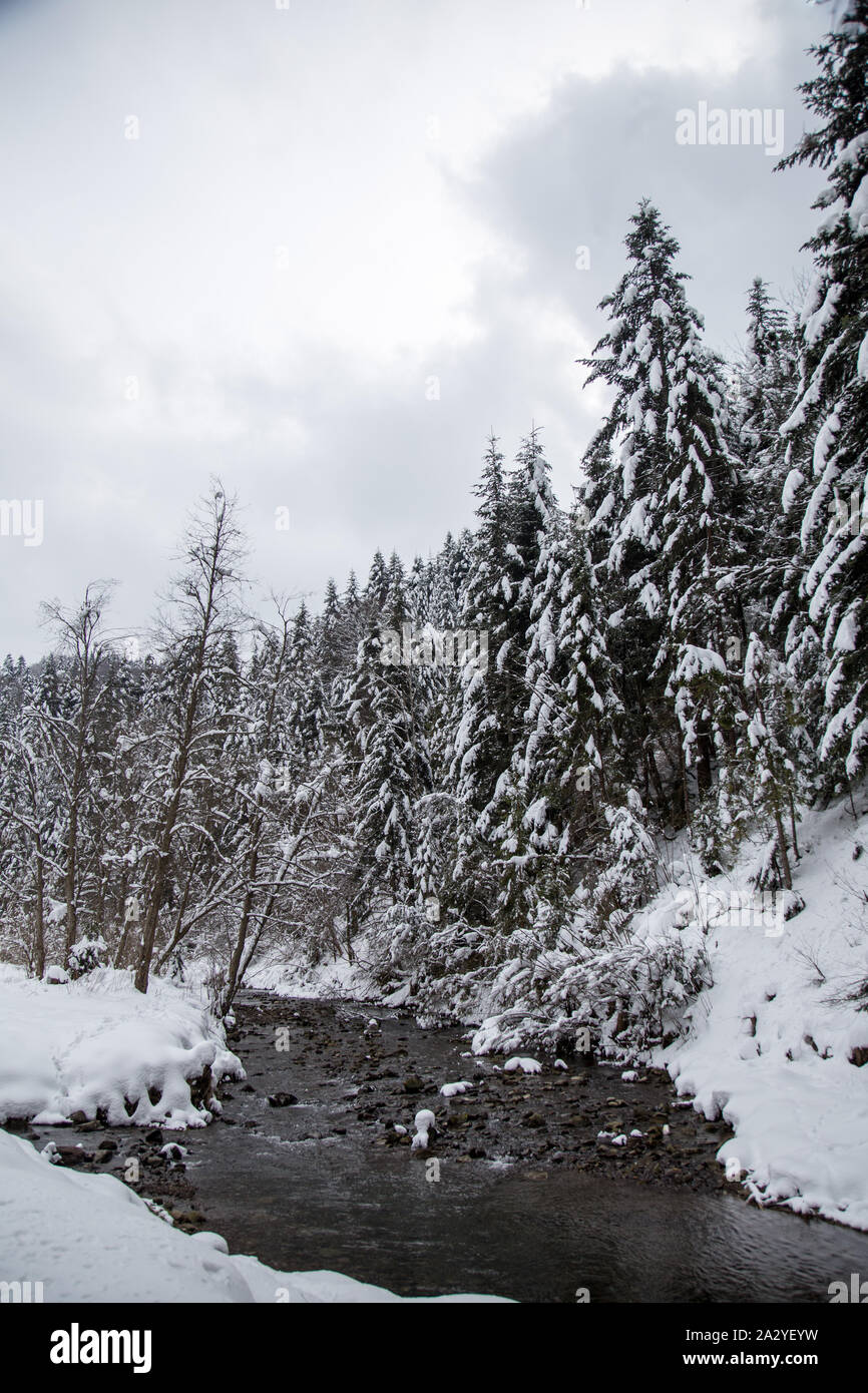 Weihnachten Hintergrund mit verschneiten Tannen. Schönen winter Berglandschaft. Stockfoto