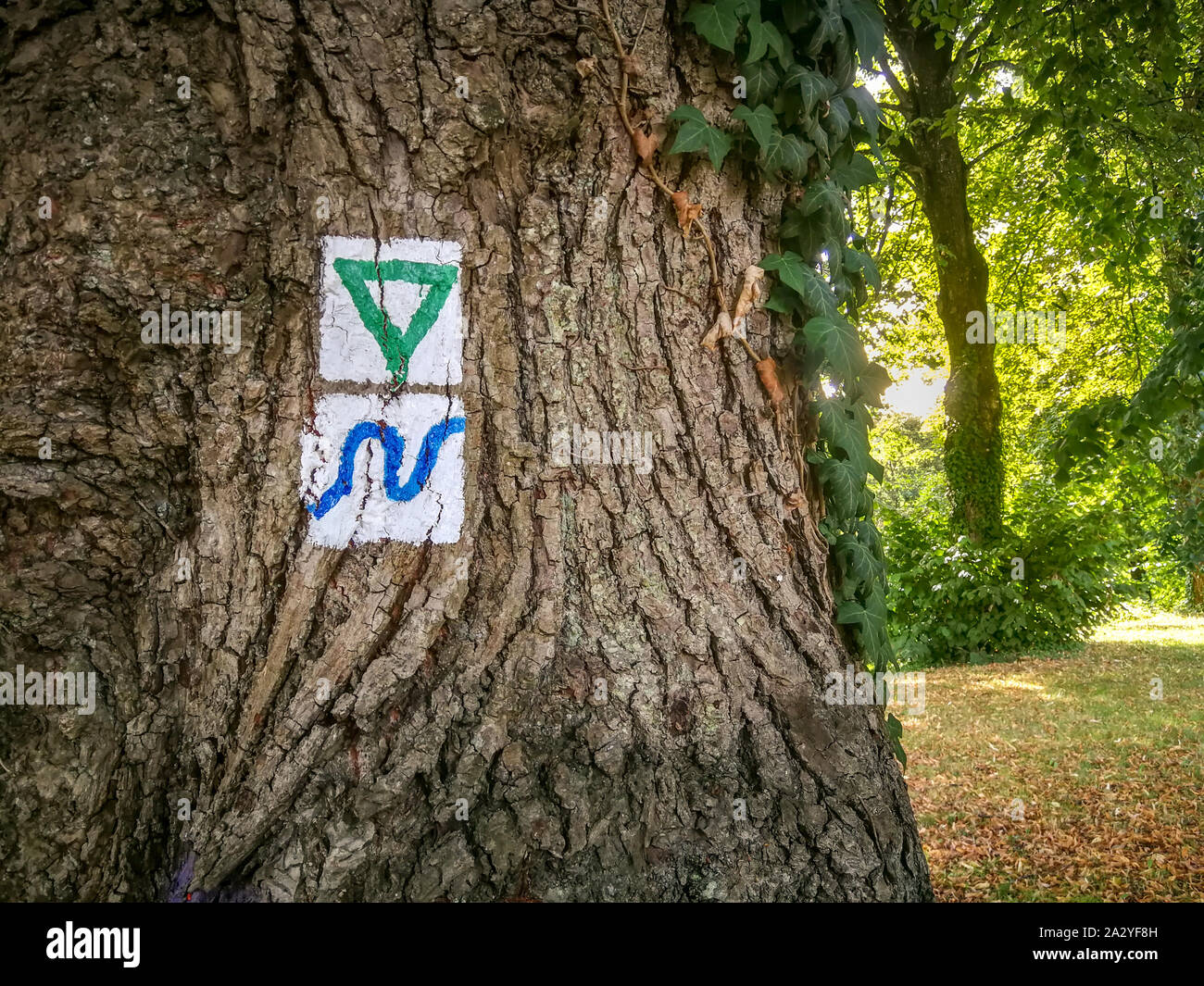 Typisch deutsche lackiert Trail Markierungen auf einer Baumstruktur, die die Richtung der Wanderwege Stockfoto