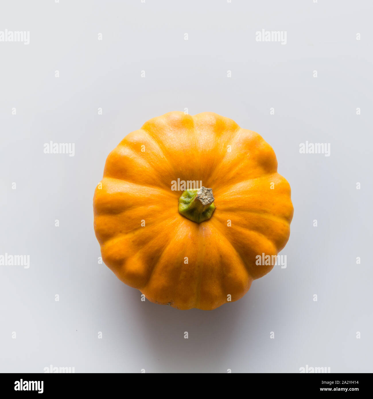 Eine orange pattypan Squash auf grauem Hintergrund. Ansicht von oben. Flach. Für ihr Design Vorlage. Stockfoto