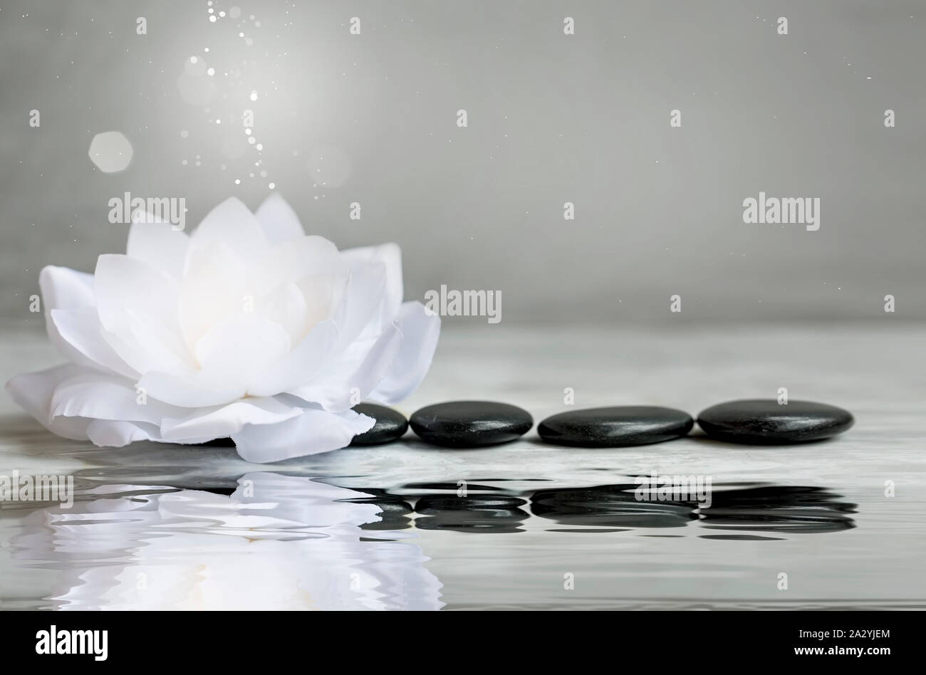 Spa noch Leben mit Seerosen und Massage Steine, beschauliche Ruhe wellness Szene Einstellung, Wasser Reflexion Stockfoto