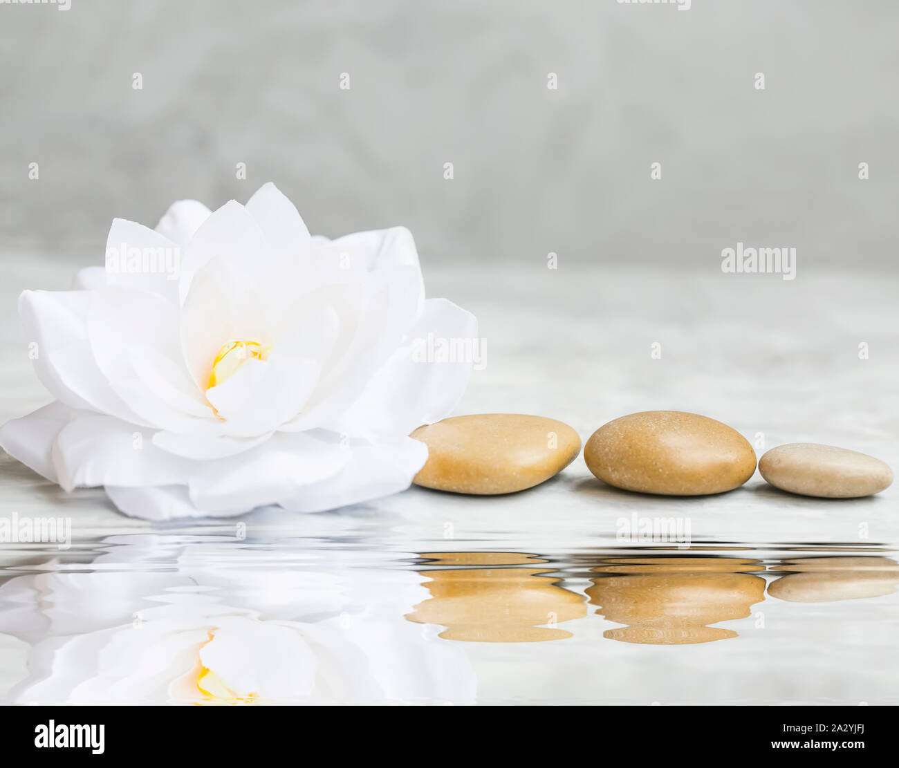 Spa noch Leben mit Seerosen und Massage Steine, beschauliche Ruhe wellness Szene Einstellung, Wasser Reflexion Stockfoto