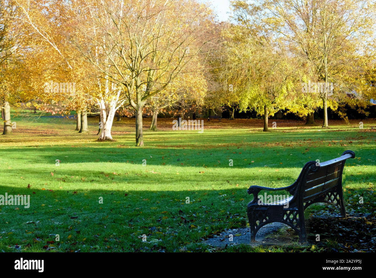 Stonegrove Park, Edgware, nordwestlich von London im Herbst mit Laub, Bäume wechselnden Farben & Parkbank. Stockfoto