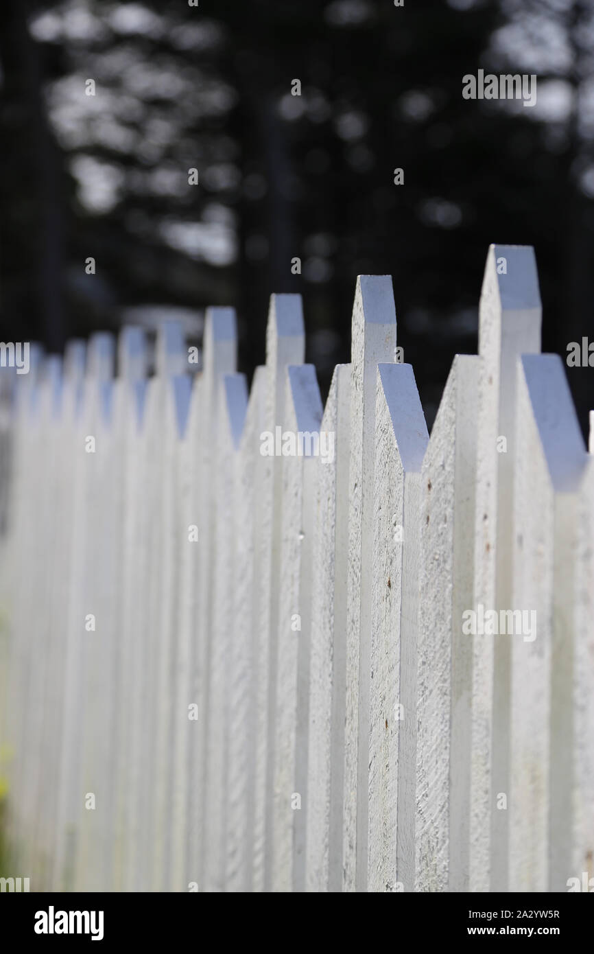 Lattenzaun, mit Tiefenschärfe - White Fence. Stockfoto