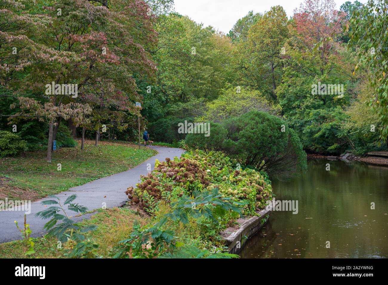 Foto von einem Pfad in einer Fairfax VA Park, wenn die Bäume drehen Farben sind für den Herbst. Stockfoto