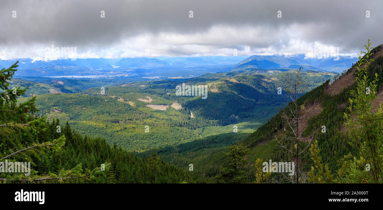 Die entwaldung in der Alberni Valley Stockfoto