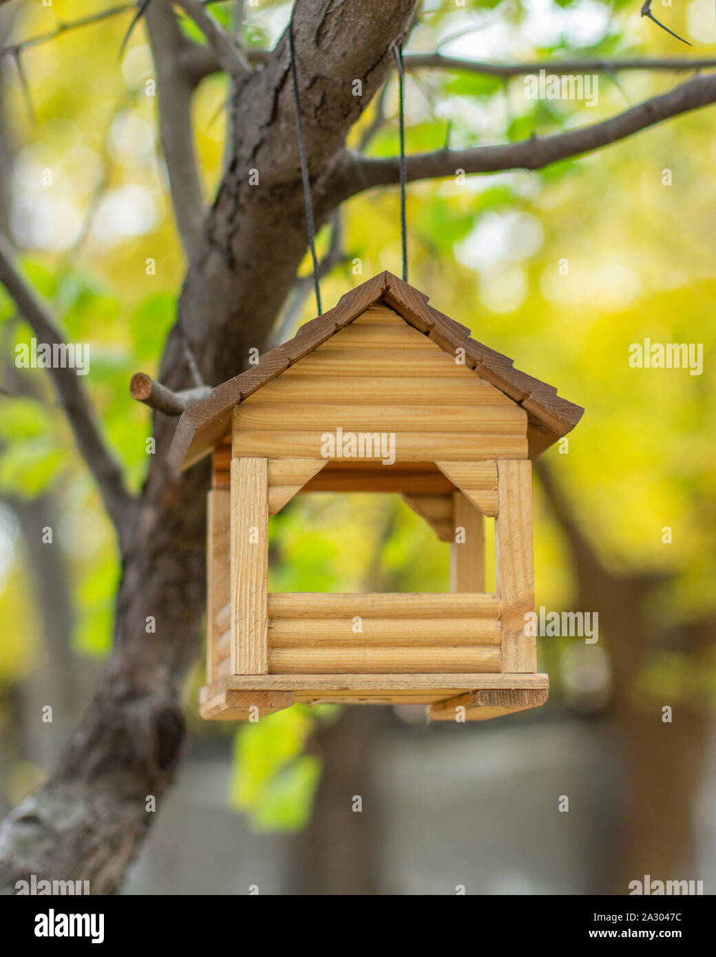 Holz- hausgemachte Haus hängen an einem Baum, Bird Feeder. Kleines Haus mit großen Fenstern für kleine Vögel füttern im Winter Stockfoto