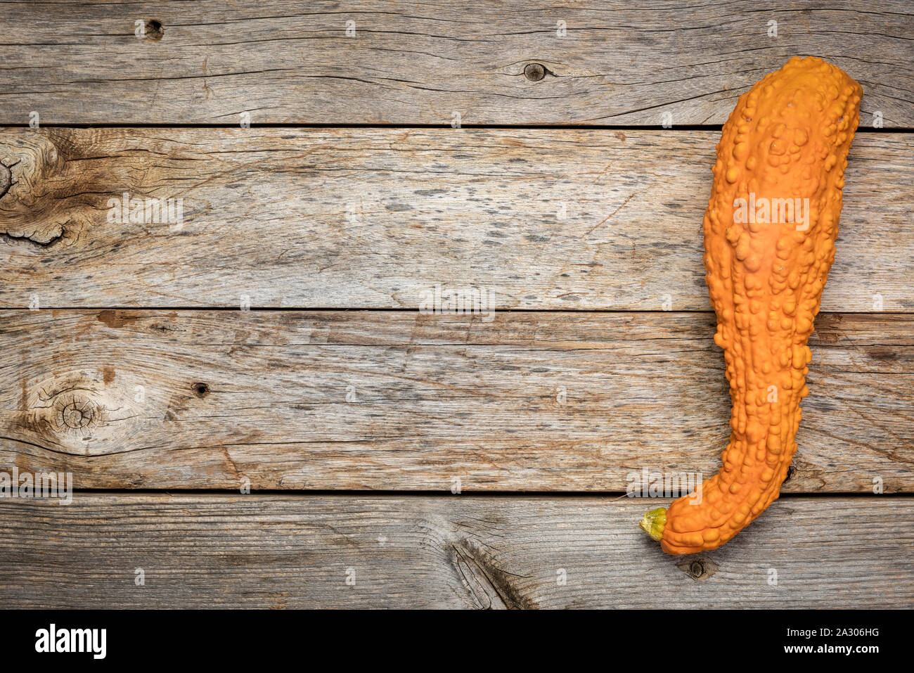 Zierpflanzen Kürbis über rustikale Scheune verwittertes Holz mit einer Kopie - Herbstferien oder Harvest Konzept Stockfoto