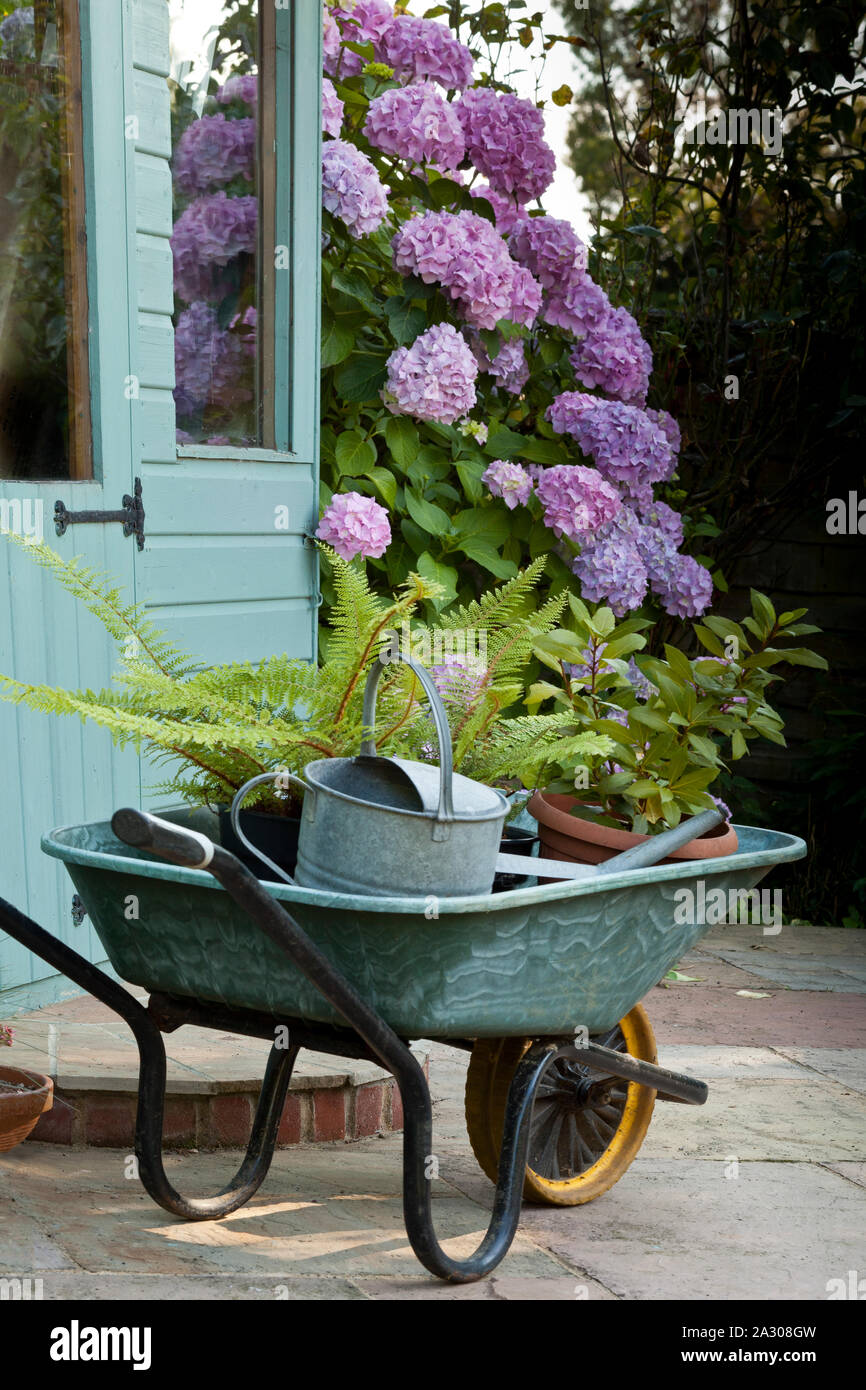 Eine Gartenarbeit wheel Barrow auf einer Terrasse in der Nähe ein Gartenhaus Stockfoto