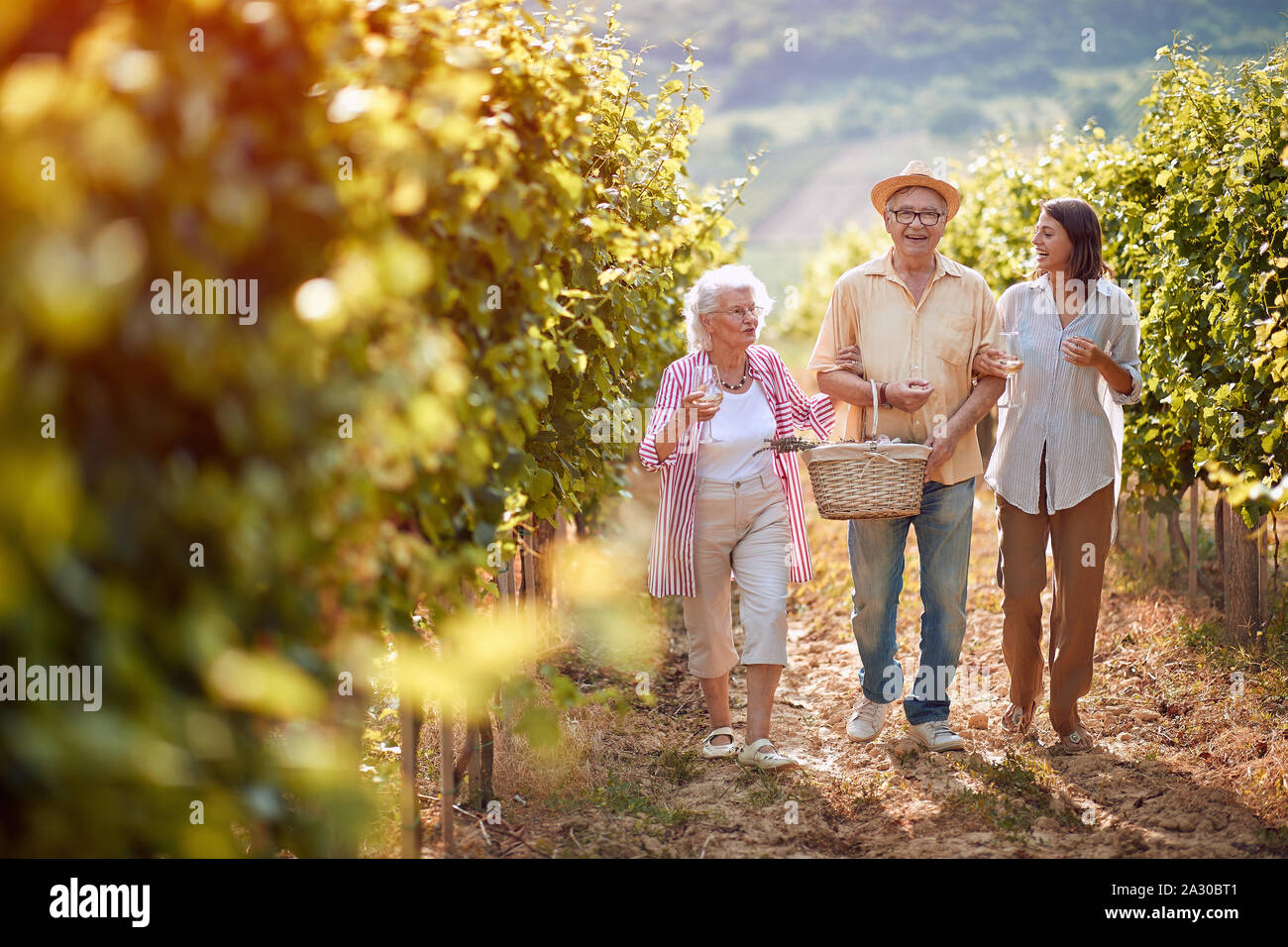 Reife Trauben im Weinberg. Familie Weinberg. Familie wandern in zwischen den Reihen von Reben zusammen Stockfoto